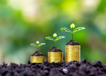 financial growth concept coins and growing plants